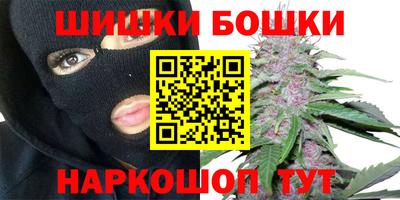 индика Можайск