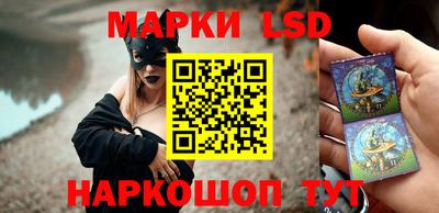 тгк Можга