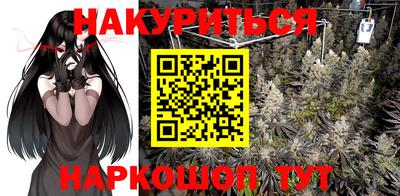индика Можайск