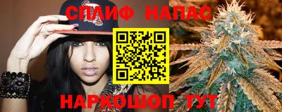 индика Можайск