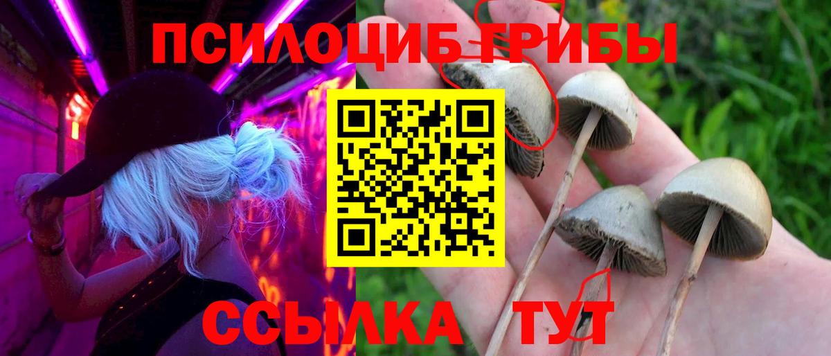Галлюциногенные грибы мухоморы Сызрань