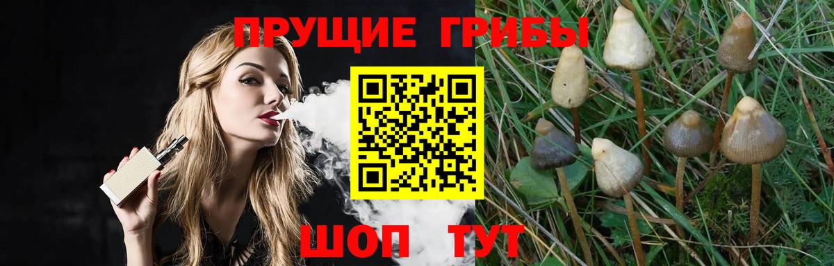Псилоцибиновые грибы мицелий  Вход с VPN  Сызрань 